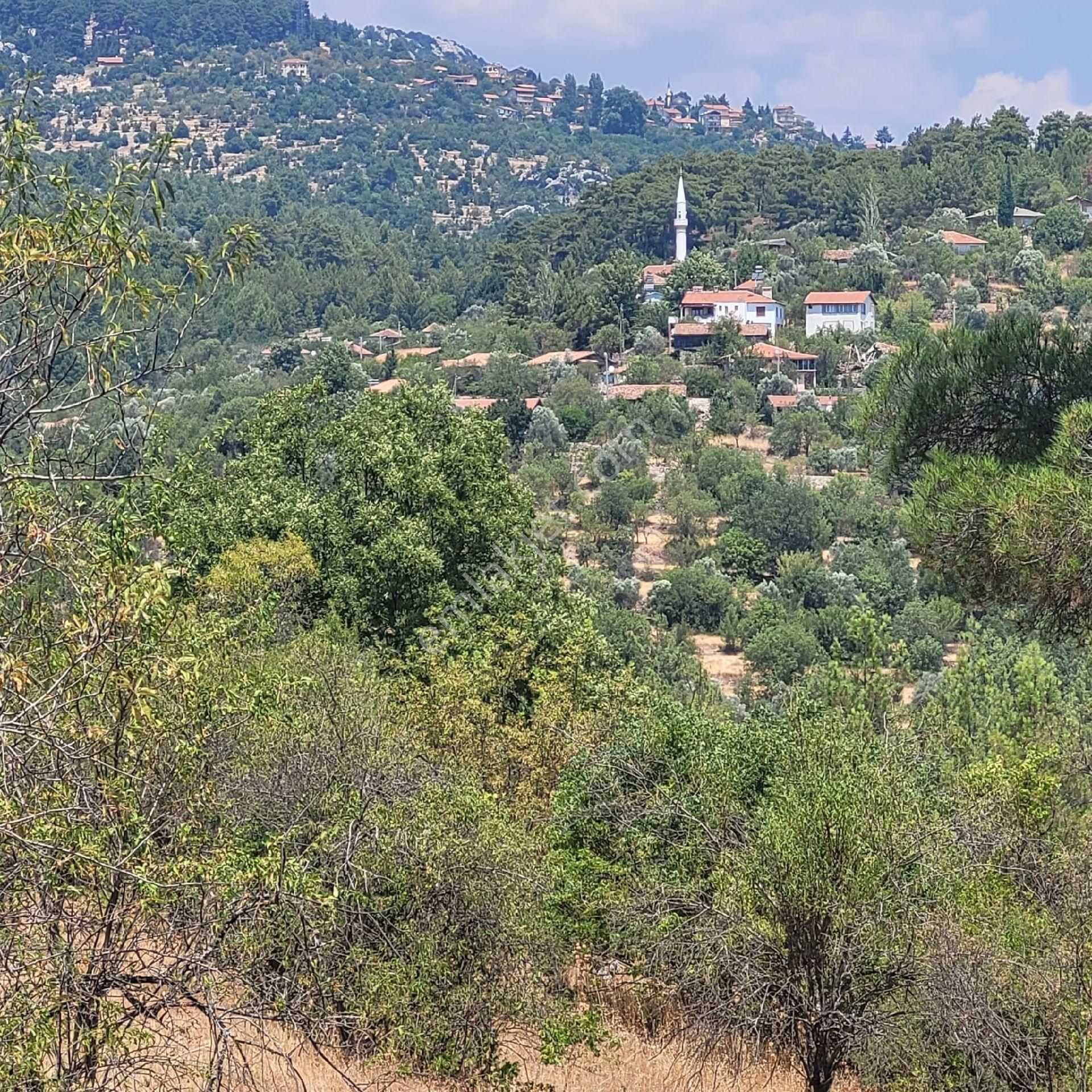 Trent Emlaktan Akseki Aşağıaşıklar Köyünde 541 M² Satılık Tarla - Görsel 5