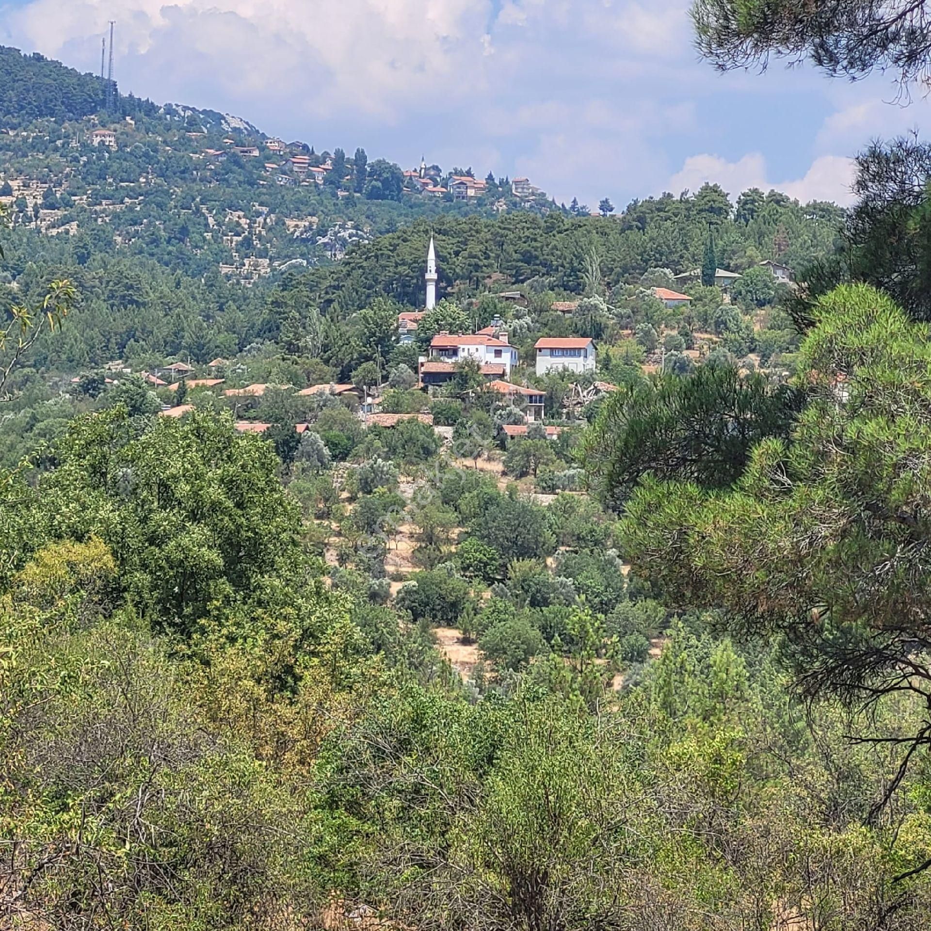 Trent Emlaktan Akseki Aşağıaşıklar Köyünde 541 M² Satılık Tarla - Görsel 3