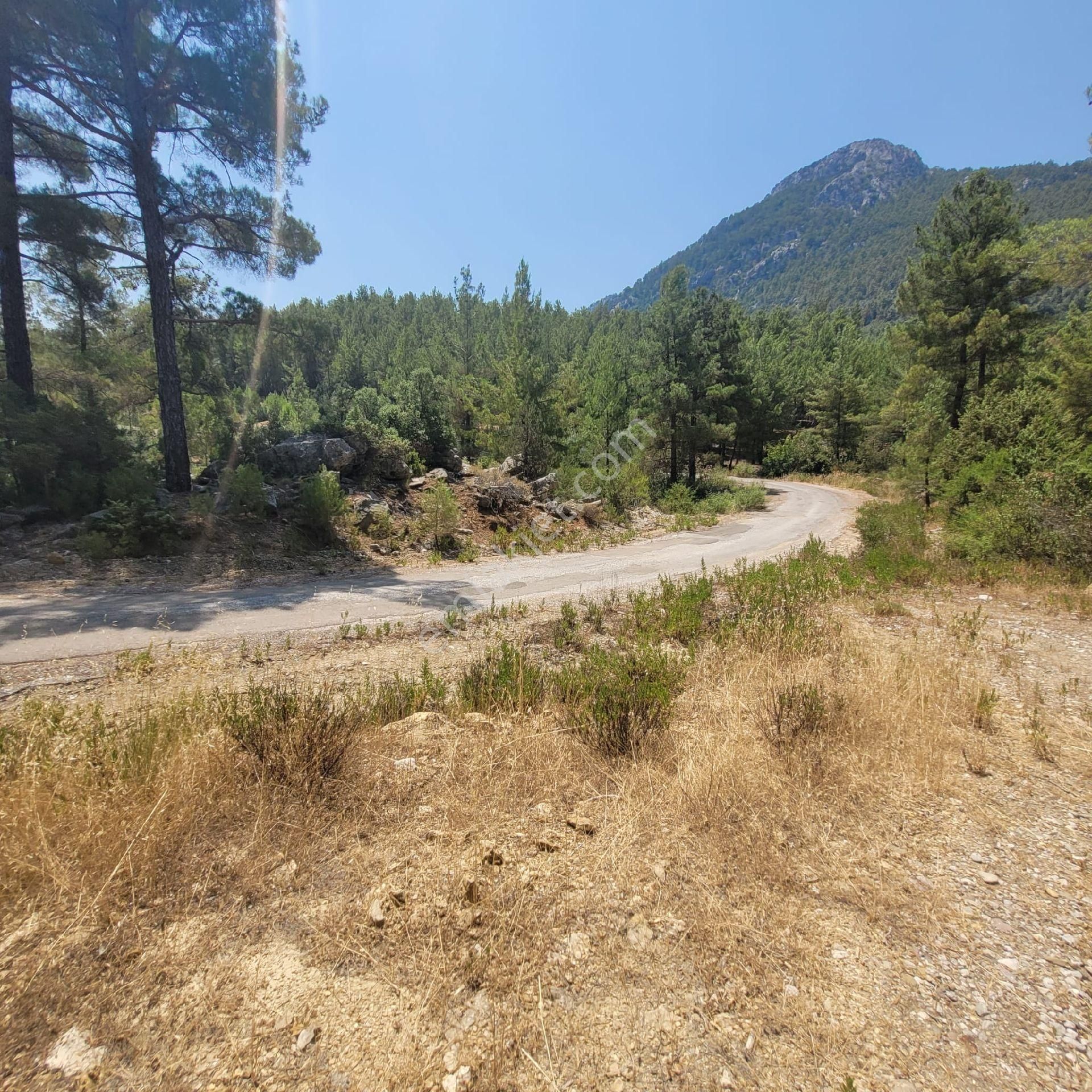 Trent Emlaktan Akseki Aşağıaşıklar Köyünde 541 M² Satılık Tarla - Görsel 10