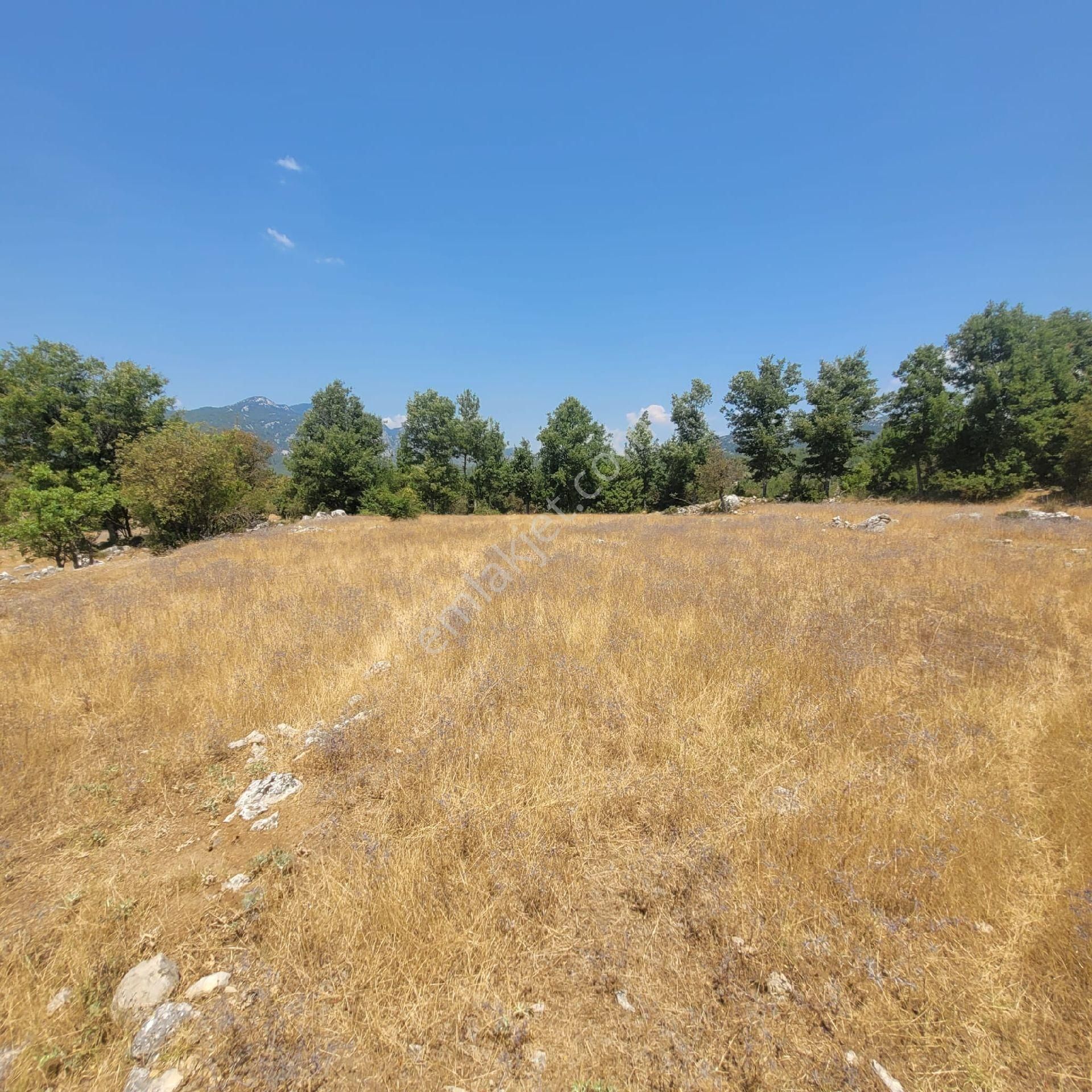 Trent Emlaktan Akseki Mahmutlar Köyünde 6.191,94 M² Satılık Tarla - Görsel 17