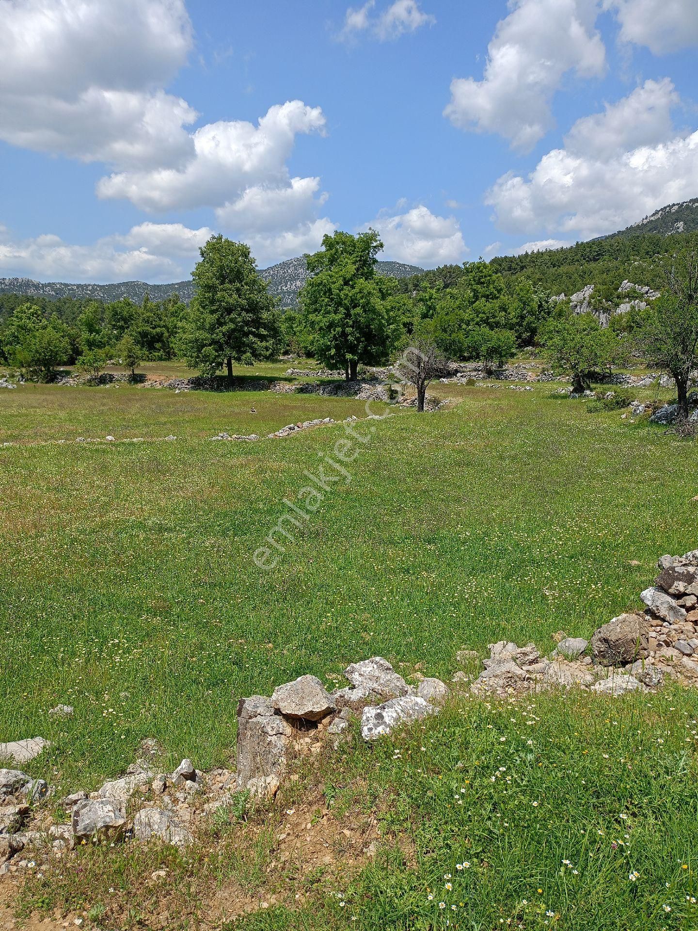 Trent Emlaktan Akseki Mahmutlar Köyünde 6.191,94 M² Satılık Tarla - Görsel 28