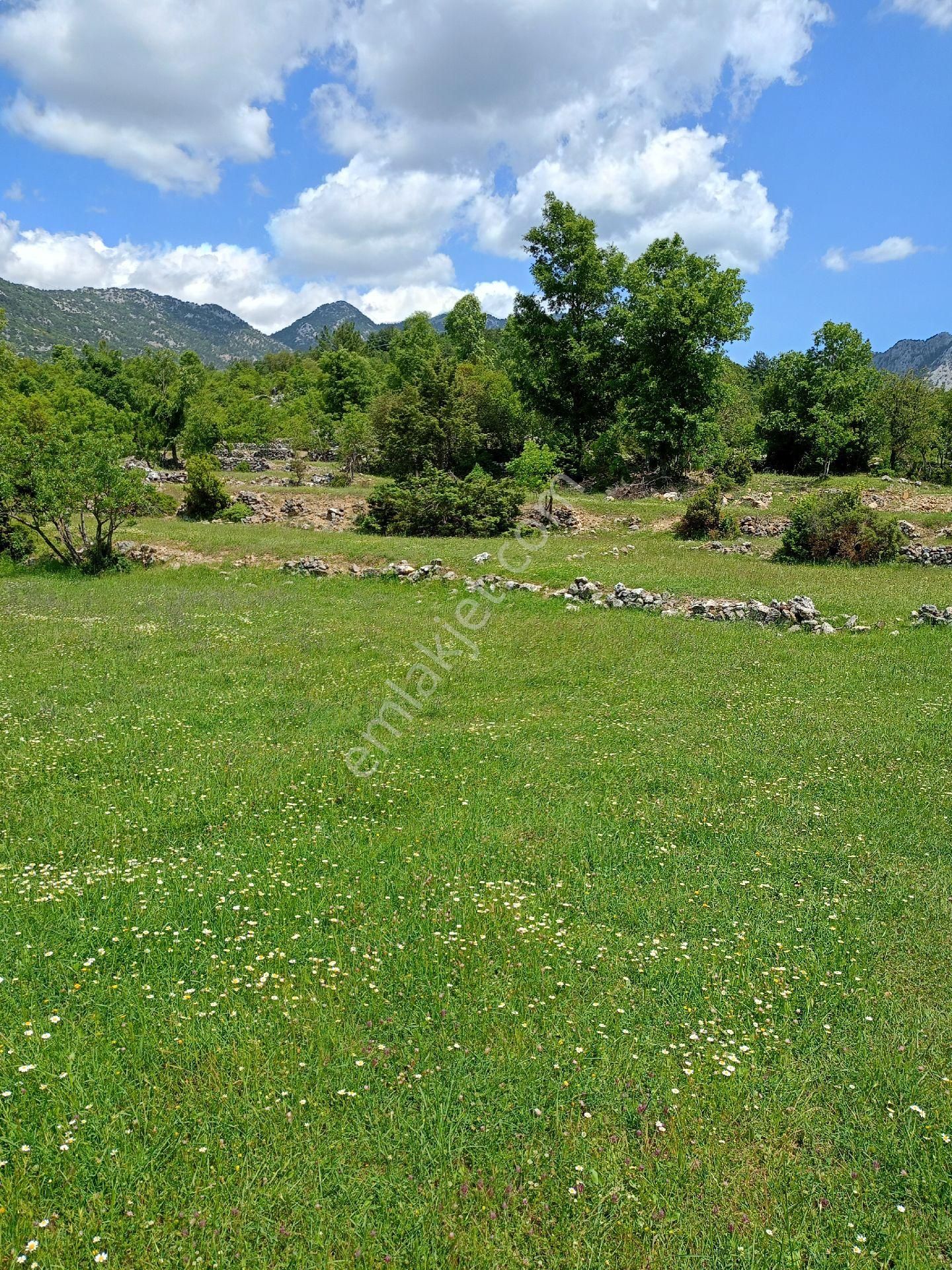 Trent Emlaktan Akseki Mahmutlar Köyünde 6.191,94 M² Satılık Tarla - Görsel 26