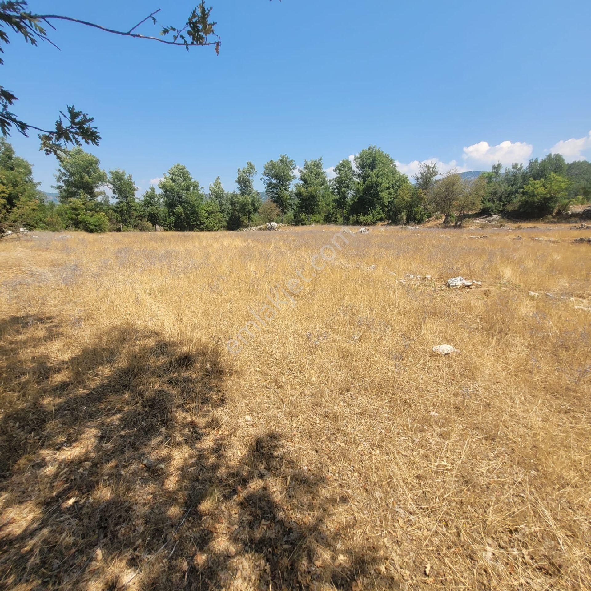 Trent Emlaktan Akseki Mahmutlar Köyünde 6.191,94 M² Satılık Tarla - Görsel 13