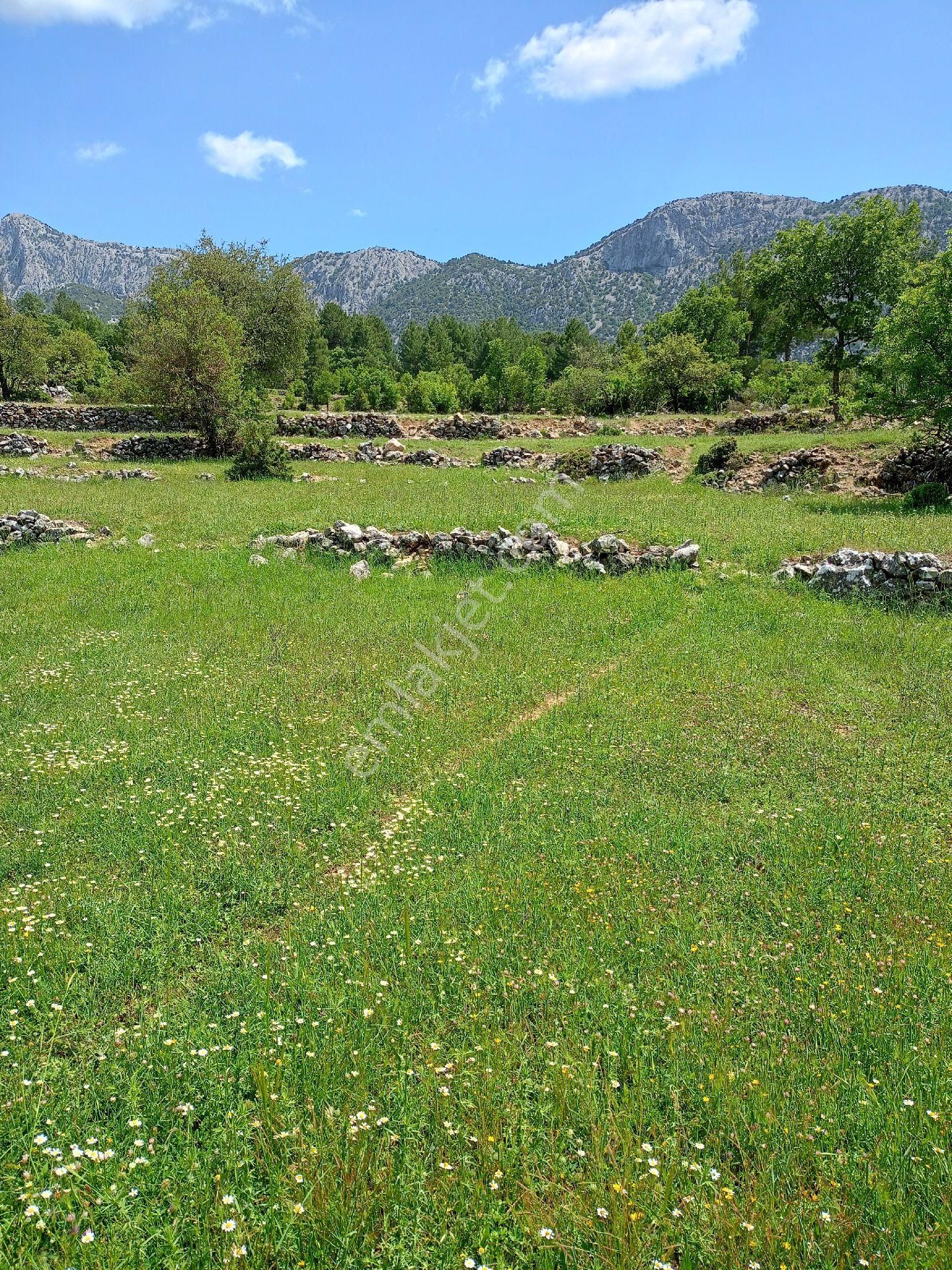 Trent Emlaktan Akseki Mahmutlar Köyünde 6.191,94 M² Satılık Tarla - Görsel 24