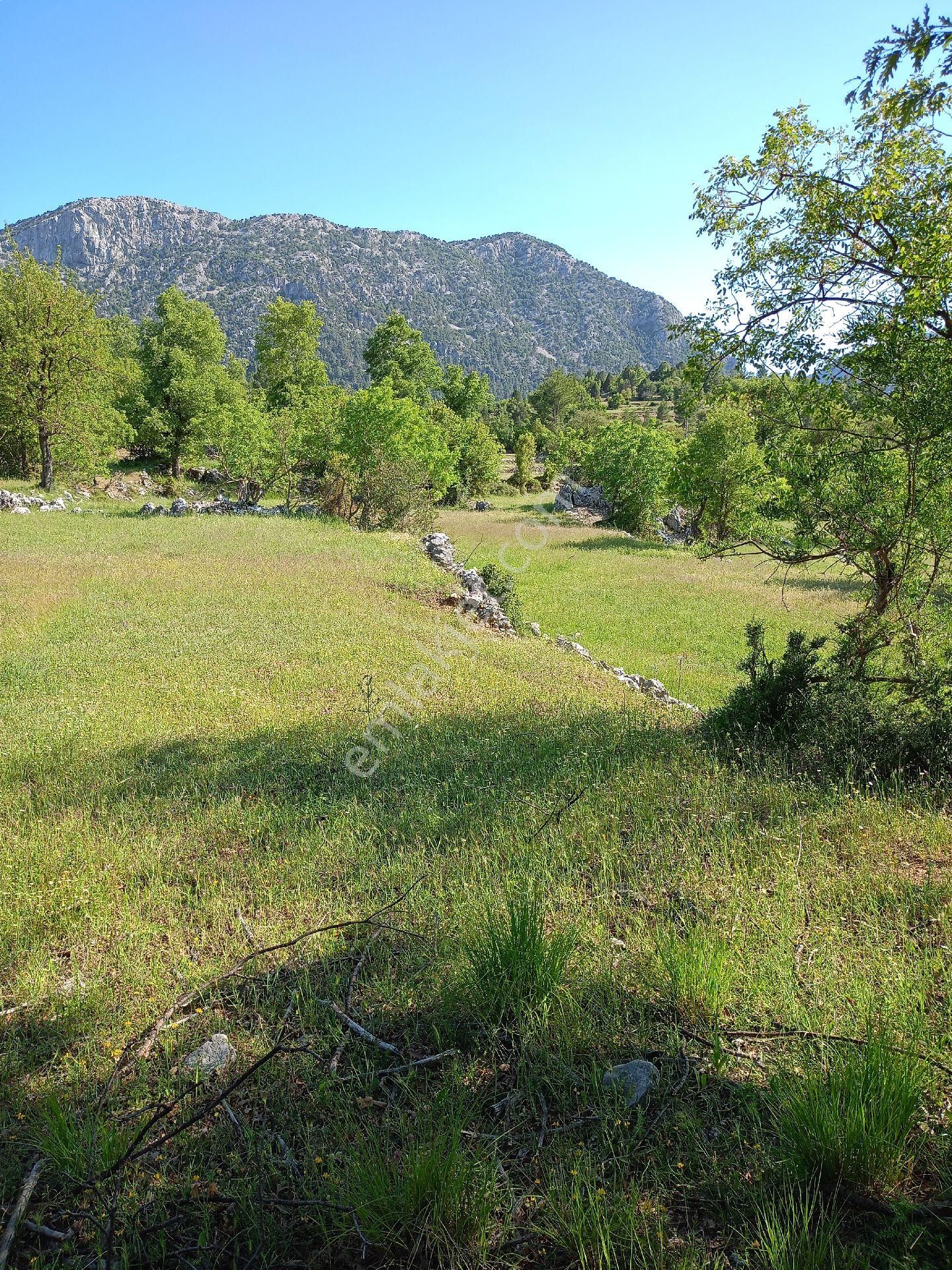 Trent Emlaktan Akseki Mahmutlar Köyünde 6.191,94 M² Satılık Tarla - Görsel 21