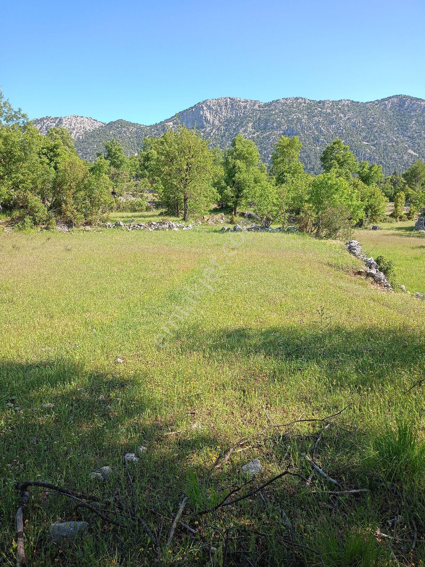 Trent Emlaktan Akseki Mahmutlar Köyünde 6.191,94 M² Satılık Tarla - Görsel 18