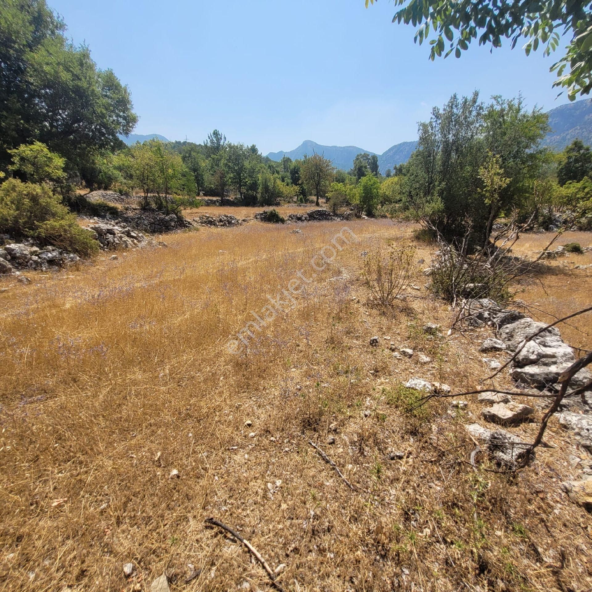 Trent Emlaktan Akseki Mahmutlar Köyünde 6.191,94 M² Satılık Tarla - Görsel 16