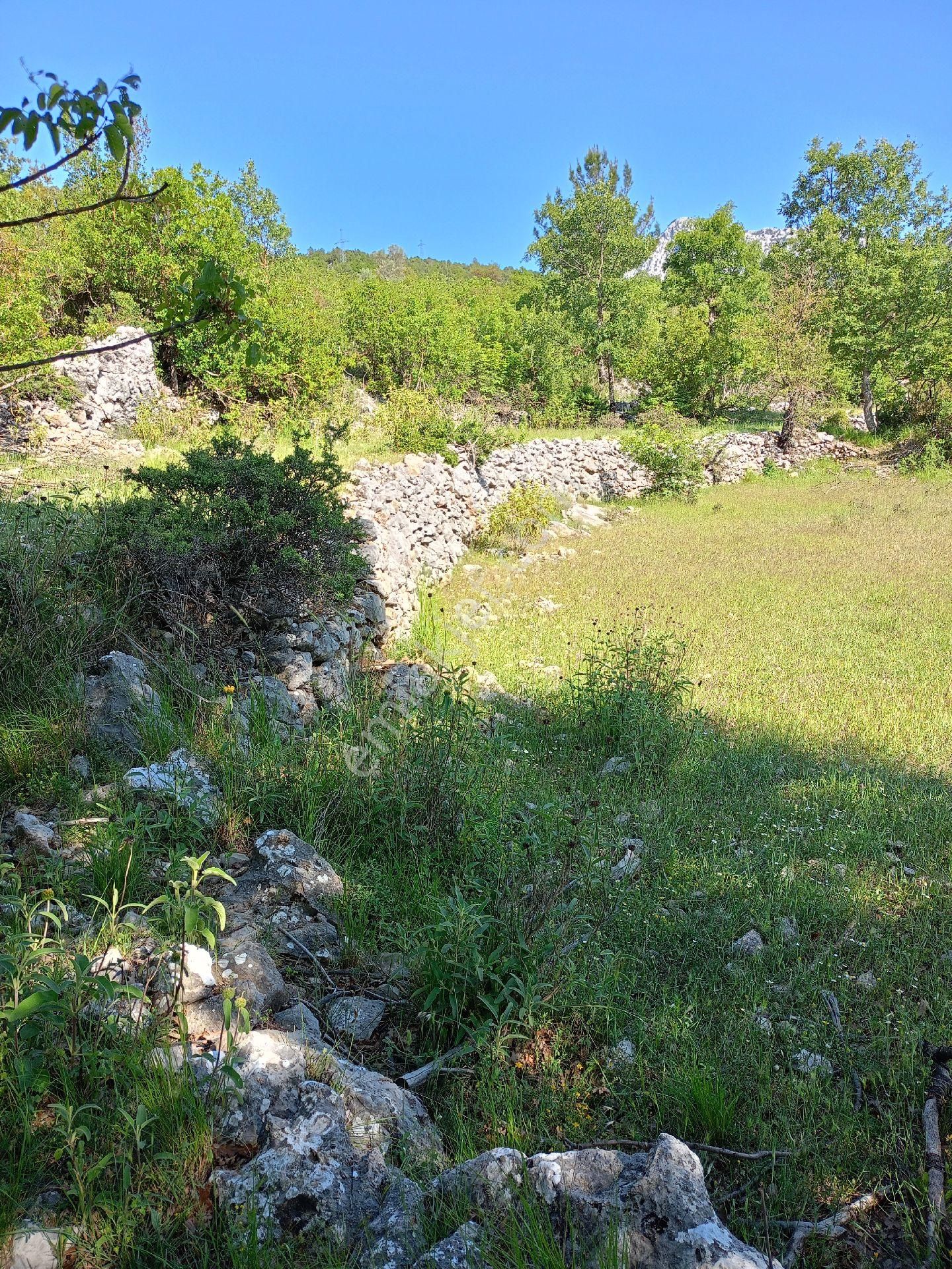 Trent Emlaktan Akseki Mahmutlar Köyünde 6.191,94 M² Satılık Tarla - Görsel 20