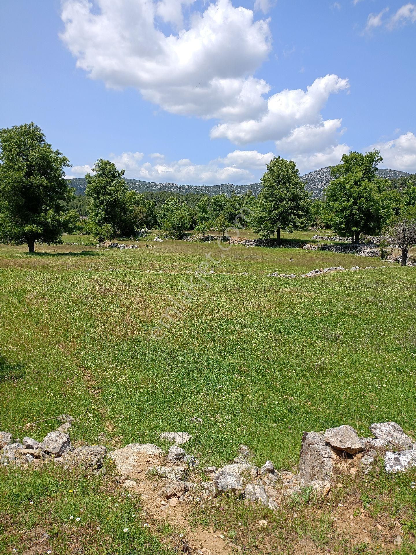 Trent Emlaktan Akseki Mahmutlar Köyünde 6.191,94 M² Satılık Tarla - Görsel 25