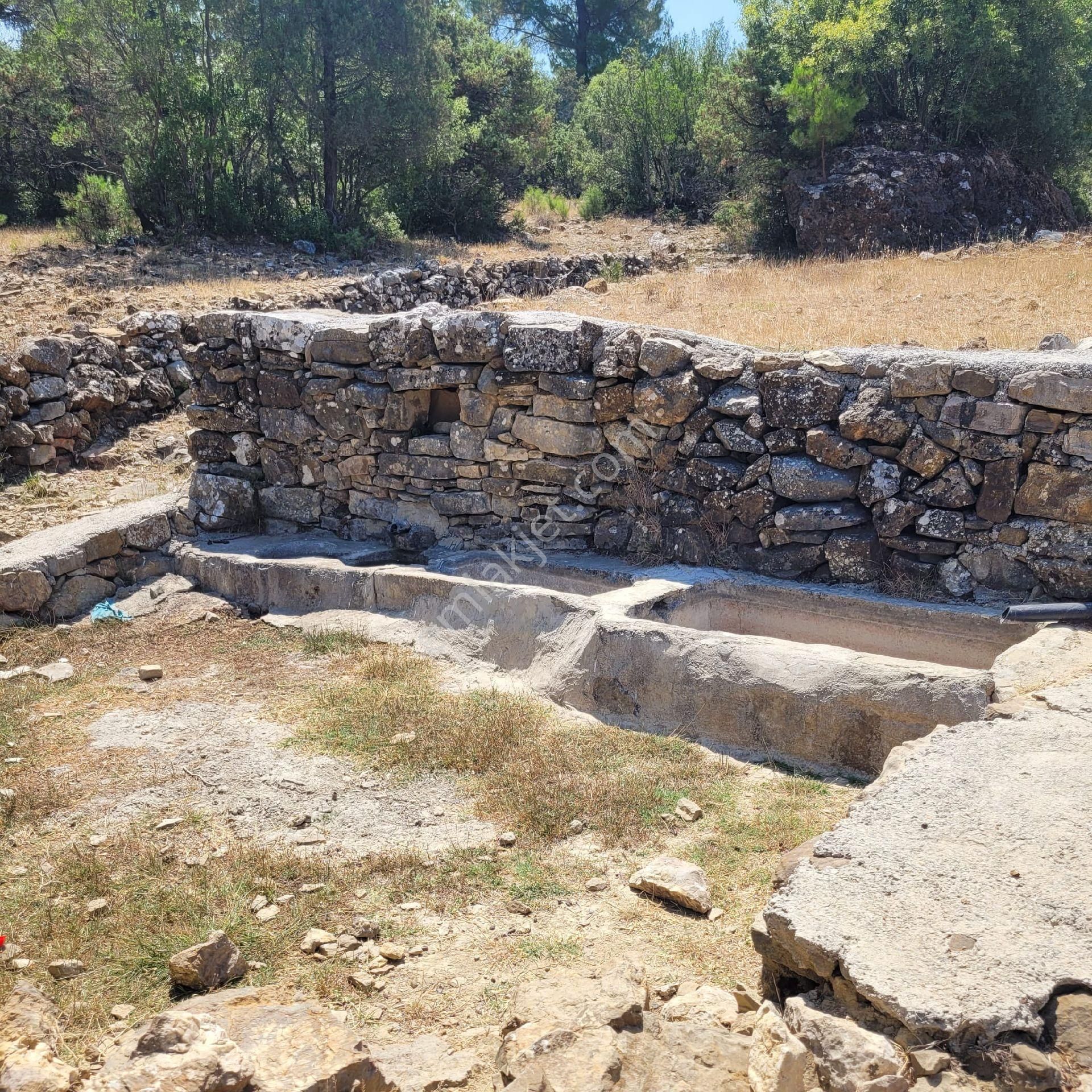 Trent Emlaktan Akseki Mahmutlar Köyünde 6.191,94 M² Satılık Tarla - Görsel 5