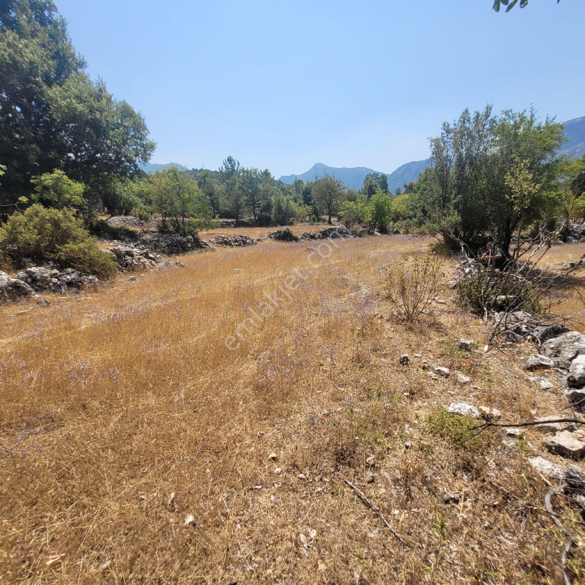 Trent Emlaktan Akseki Mahmutlar Köyünde 6.191,94 M² Satılık Tarla - Görsel 14