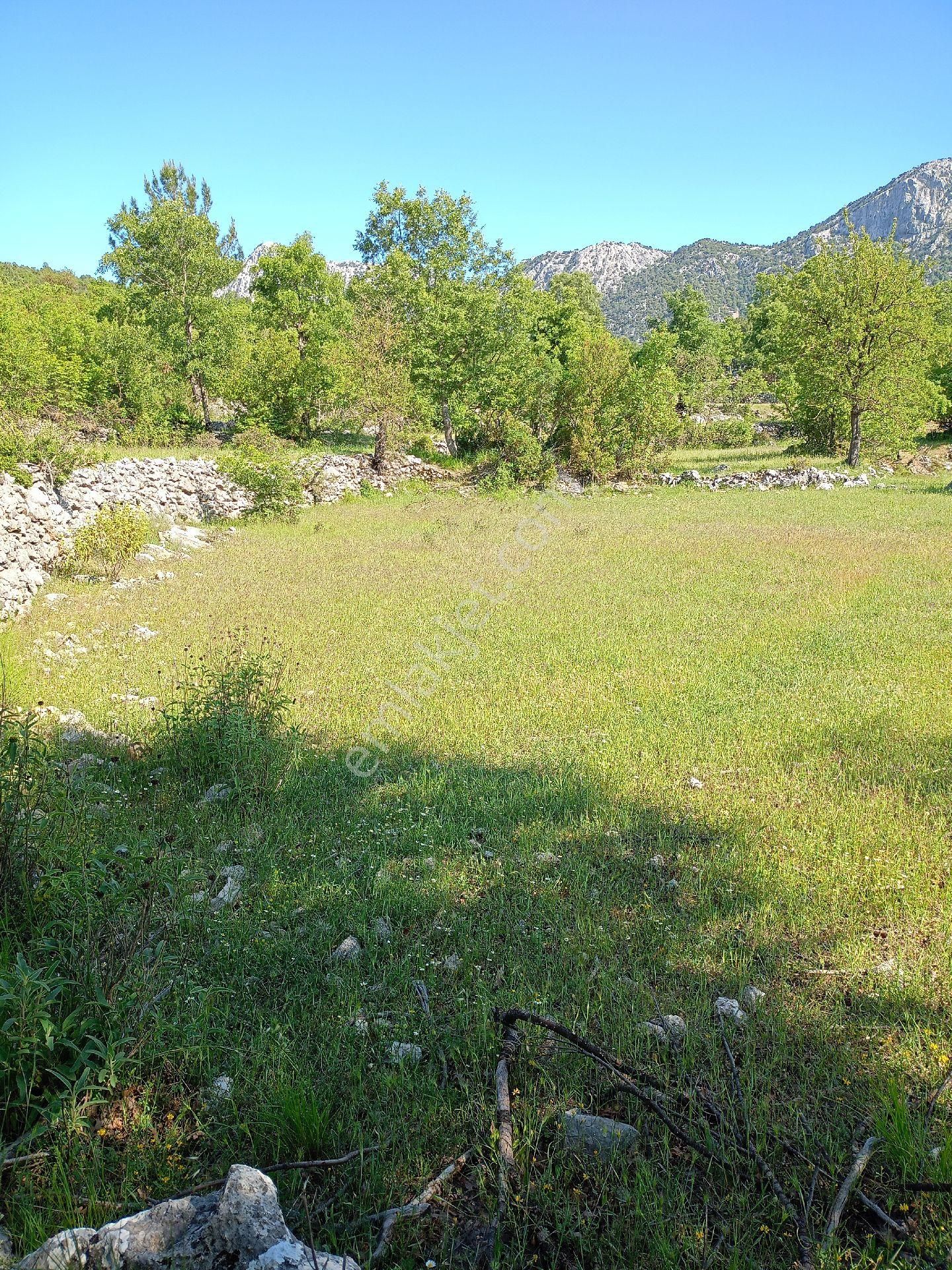 Trent Emlaktan Akseki Mahmutlar Köyünde 6.191,94 M² Satılık Tarla - Görsel 19