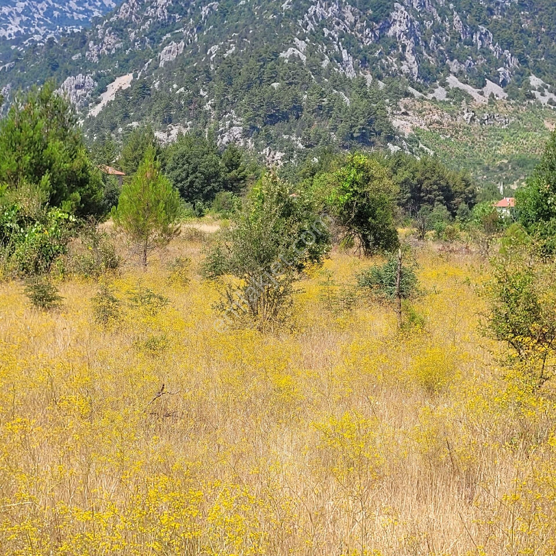 Trent Emlaktan Akseki Mahmutlu Köyünde 947 M² Satılık Tarla - Görsel 8