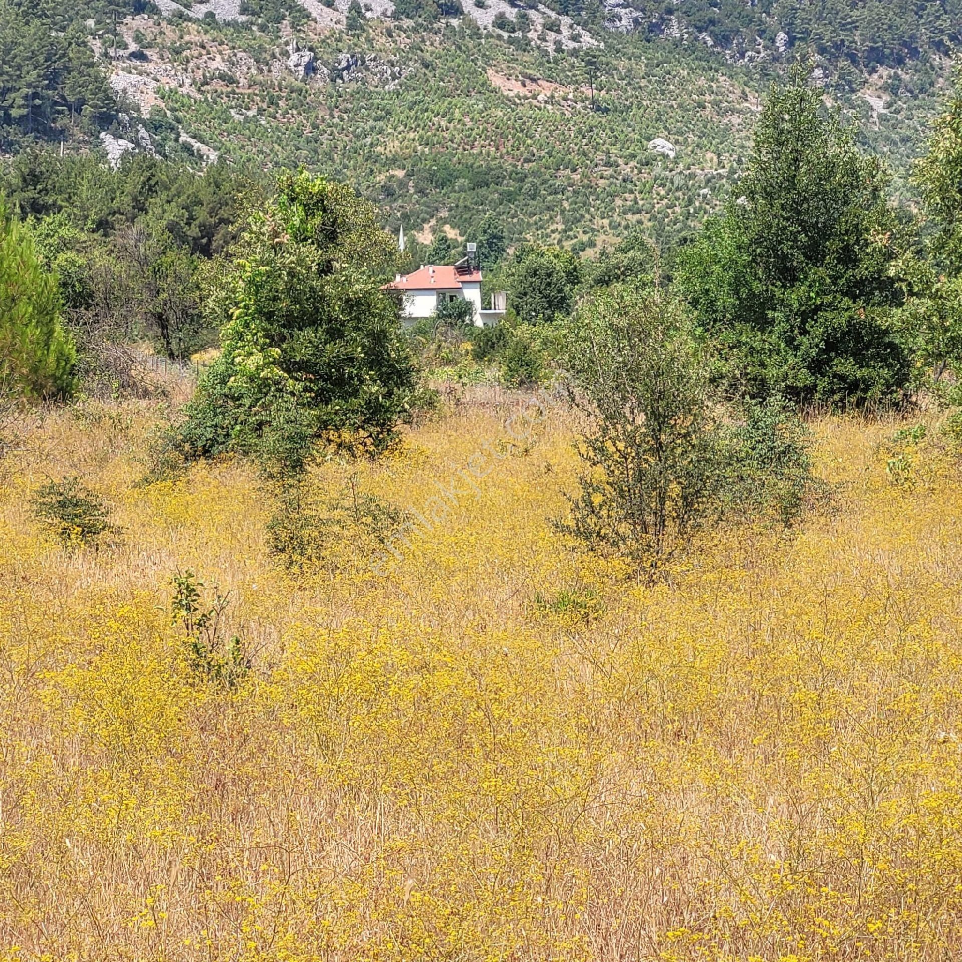 Trent Emlaktan Akseki Mahmutlu Köyünde 947 M² Satılık Tarla - Görsel 4
