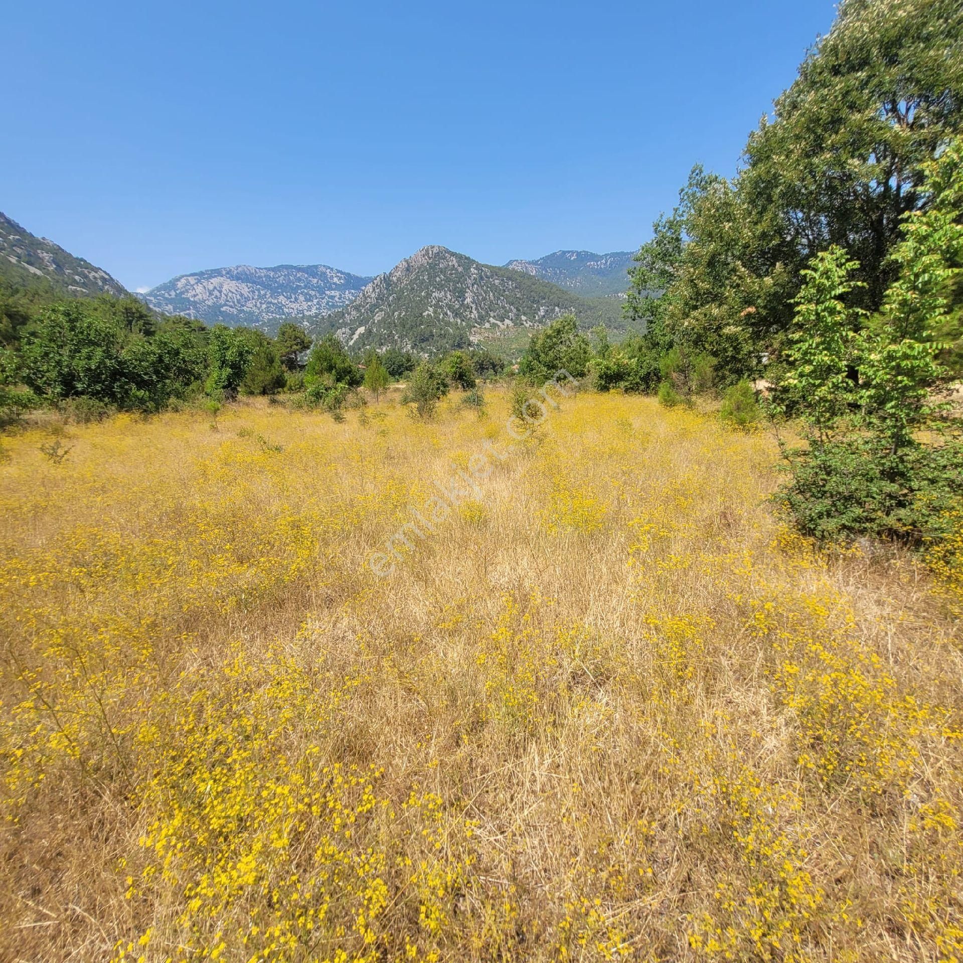 Trent Emlaktan Akseki Mahmutlu Köyünde 947 M² Satılık Tarla - Görsel 7