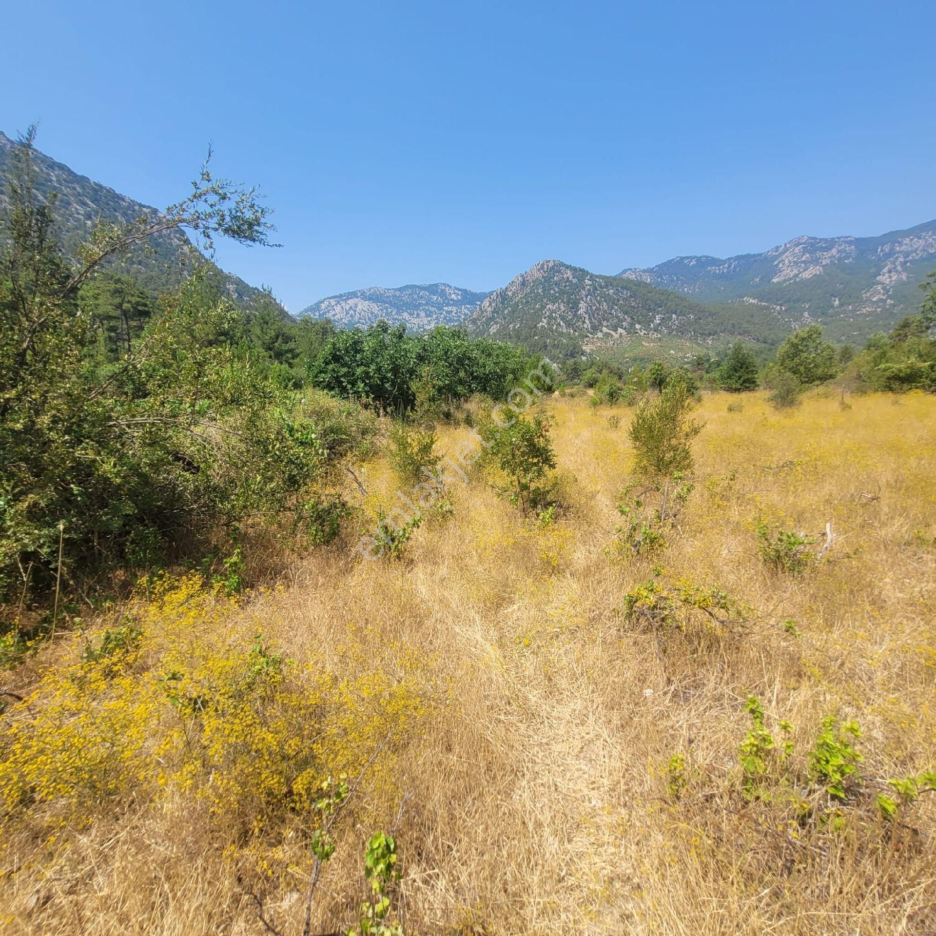 Trent Emlaktan Akseki Mahmutlu Köyünde 947 M² Satılık Tarla - Görsel 15