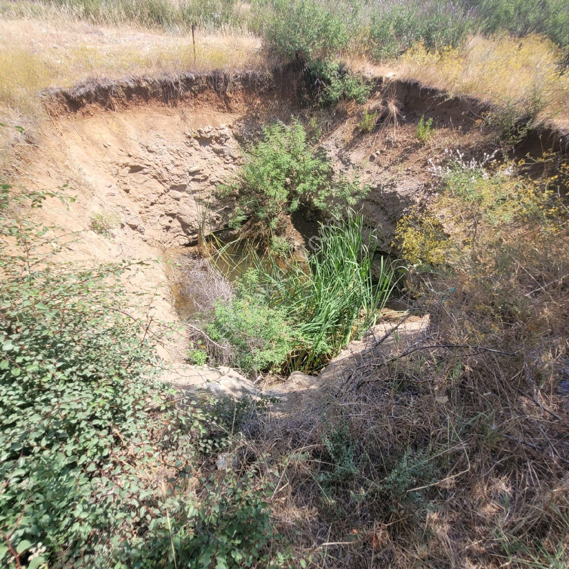 Trent Emlaktan Akseki Mahmutlu Köyünde 947 M² Satılık Tarla - Görsel 19