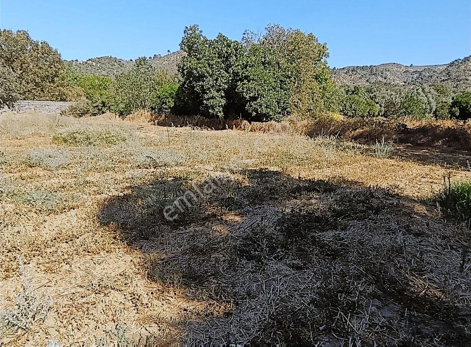 Yıldırım Mühendislikten Etrenli Mah.." 993 M2 " İmarlı Arazi - Görsel 3