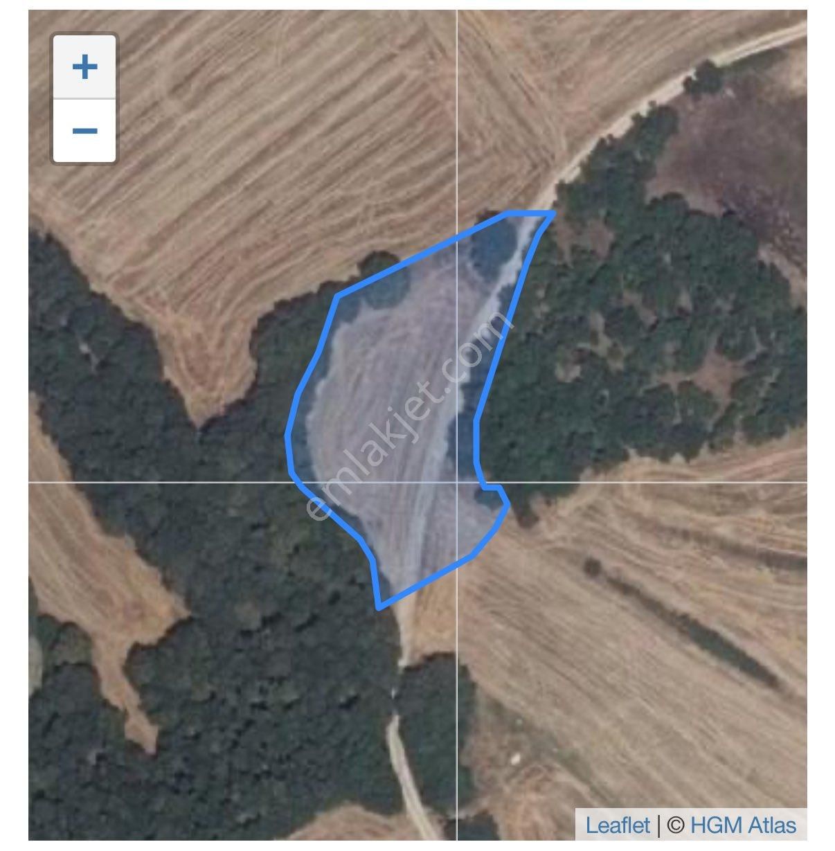 Pınarhisar Akören’de Yola Cepheli, Yatırıma Uygun 2.657 M² Tarla