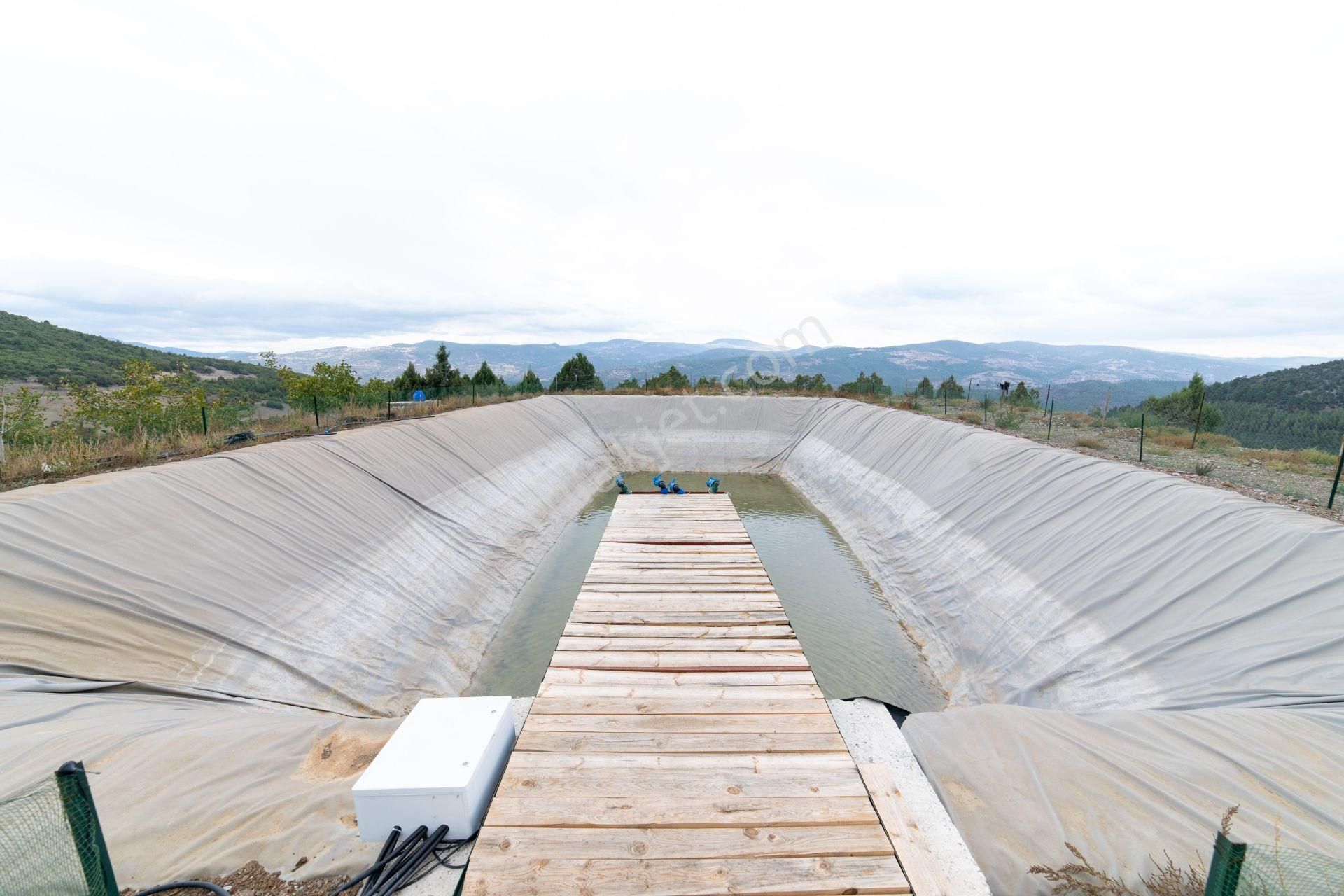 Dursunbey Çınar Köy'de Ceviz Ağaçlı Çiftlik Evi - Görsel 33