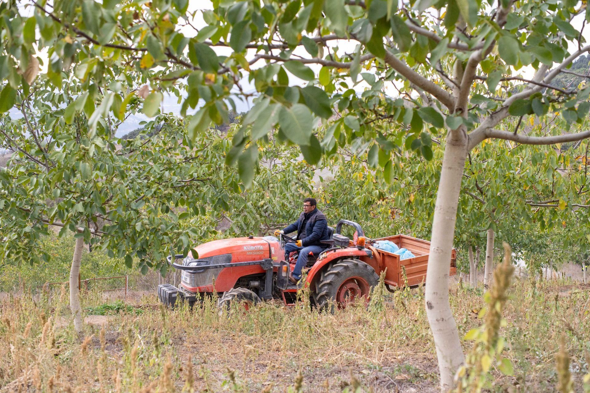 Dursunbey Çınar Köy'de Ceviz Ağaçlı Çiftlik Evi - Görsel 9