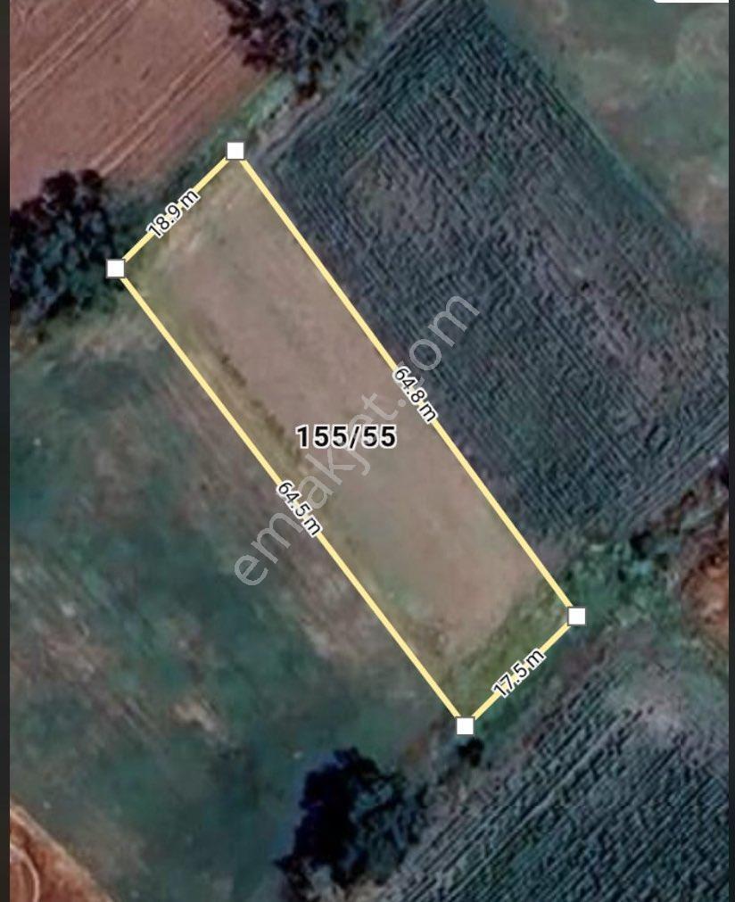 Sahibinden 1170m2 Mahalle Dibinde Bağlar Mevkii Müstakil Tek Tapu - Görsel 4