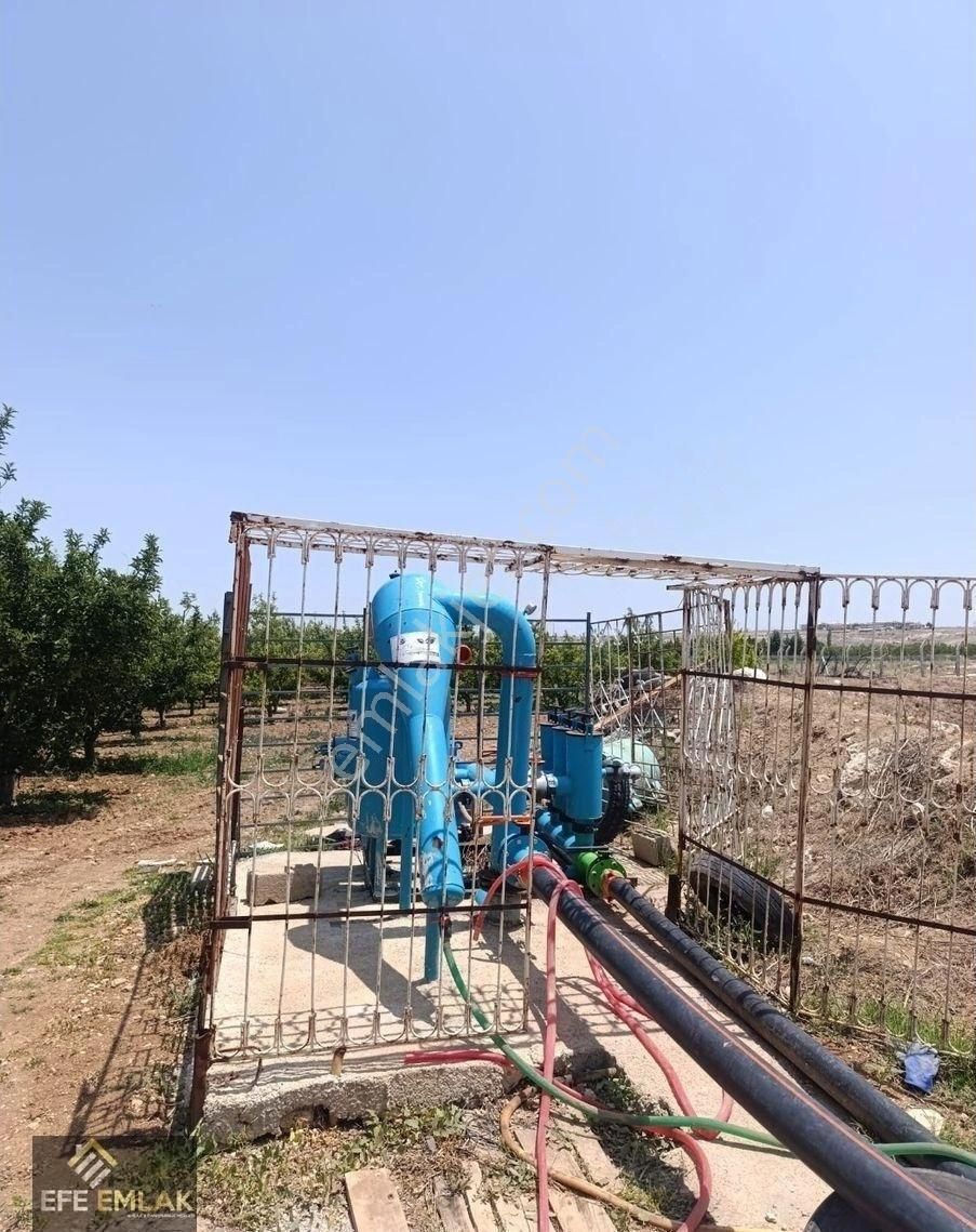 Çeltek Mahallesi'nde İmara Yakın Satılık Elma Bahçesi - Görsel 2