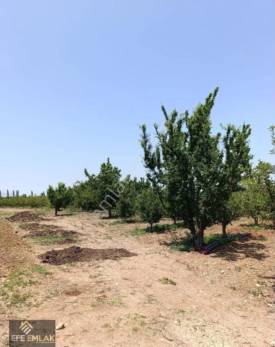 Çeltek Mahallesi'nde İmara Yakın Satılık Elma Bahçesi - Görsel 21