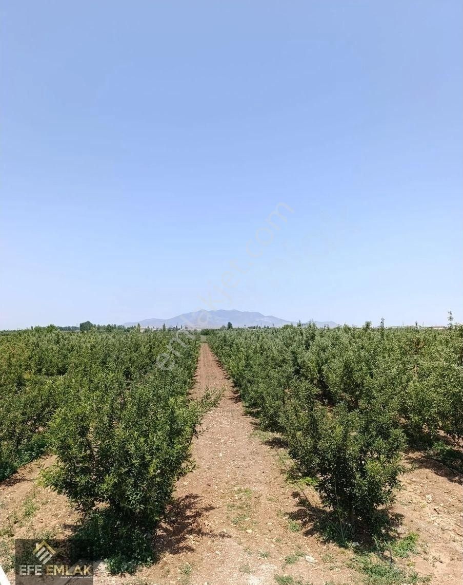 Çeltek Mahallesi'nde İmara Yakın Satılık Elma Bahçesi - Görsel 6