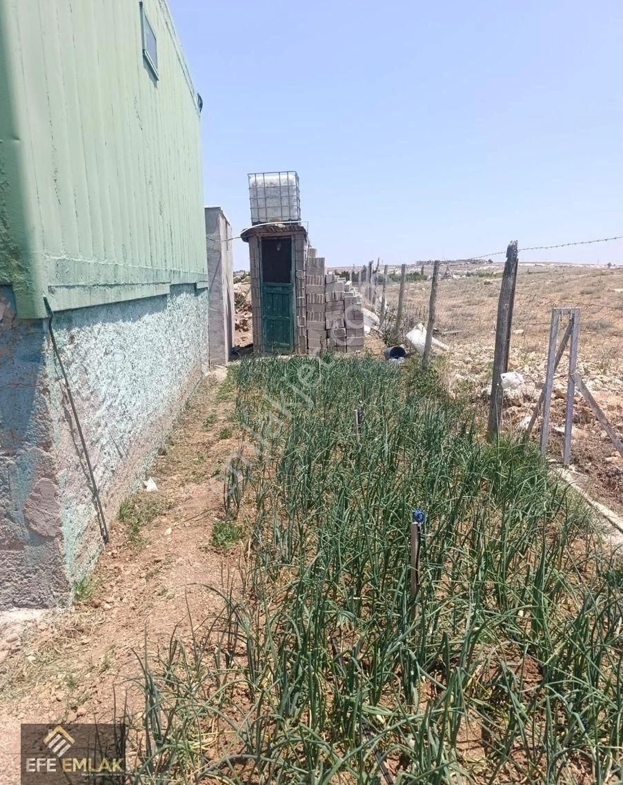 Çeltek Mahallesi'nde İmara Yakın Satılık Elma Bahçesi - Görsel 23