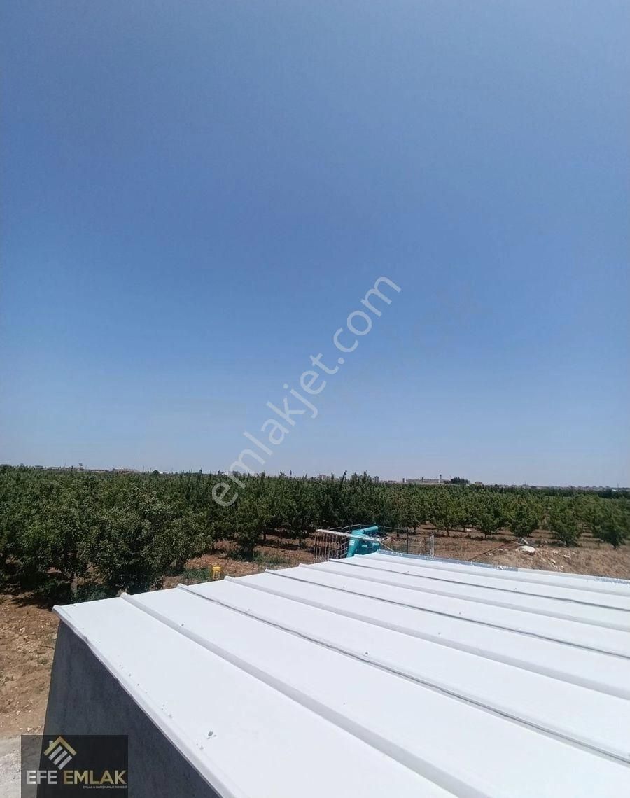 Çeltek Mahallesi'nde İmara Yakın Satılık Elma Bahçesi - Görsel 7