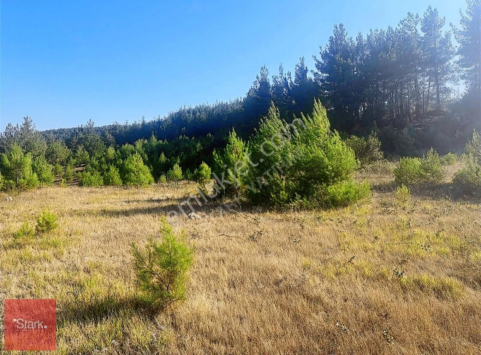 Bursa Orhaneli Fadıl 20900m² Satılık Tarla