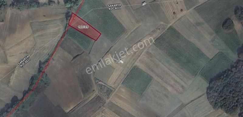 Kandıra Sarıgazi'de Toplulaştırmada 1613 M2 Şekli Düzgün Arazi - Görsel 2