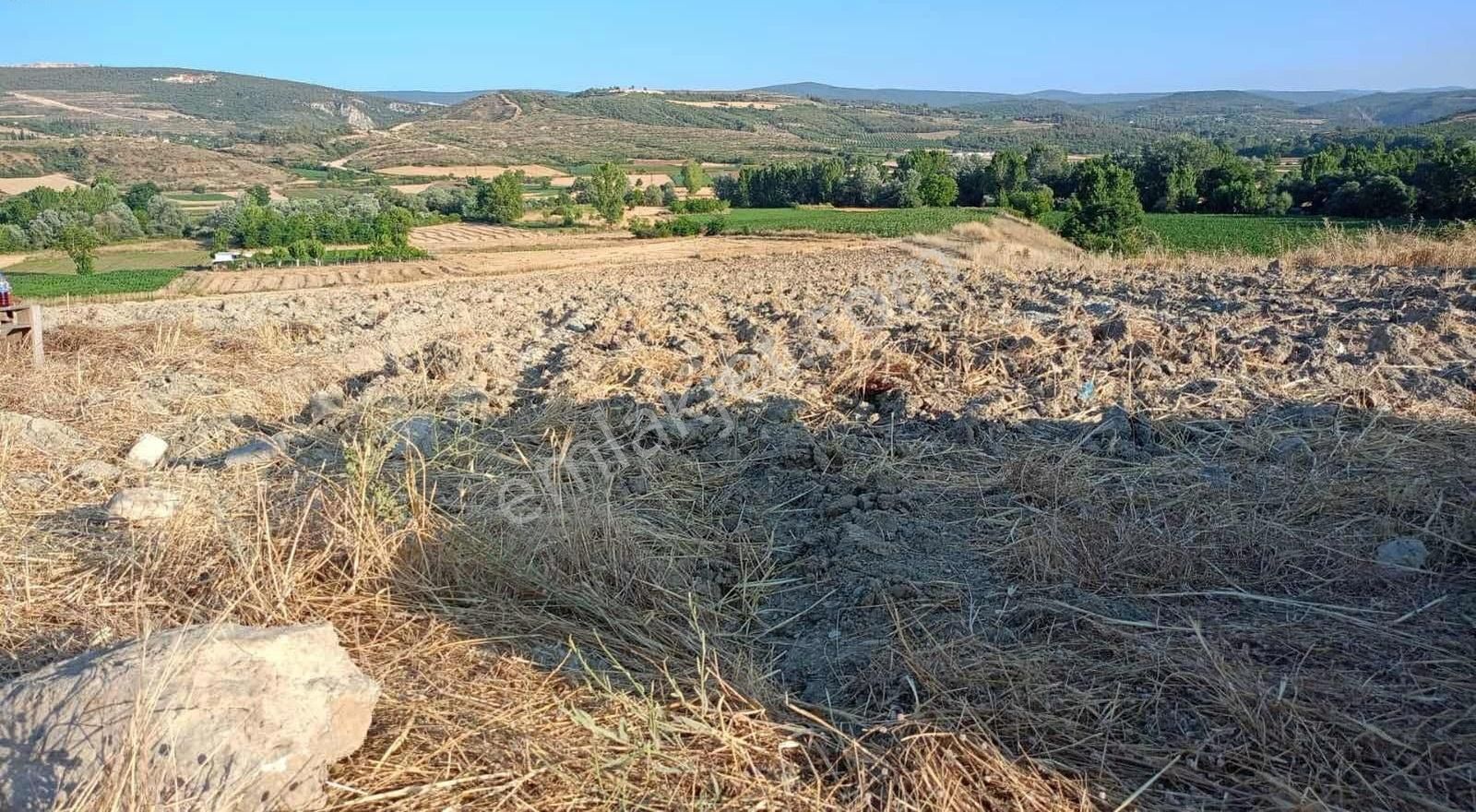 Çok Acil Satılık Fırsat Fiyat Üç Tarafı Yol, Su Mevcut