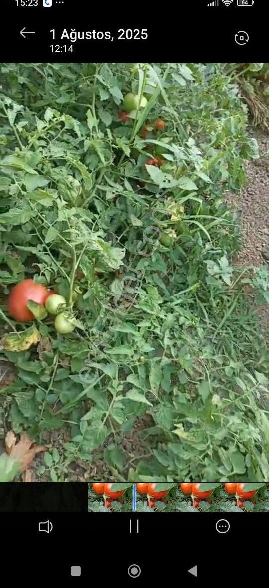 Alemdar Gayrimenkul Sakarya Erenler Kamışlı Mah.satlık Evli Arsa - Görsel 12