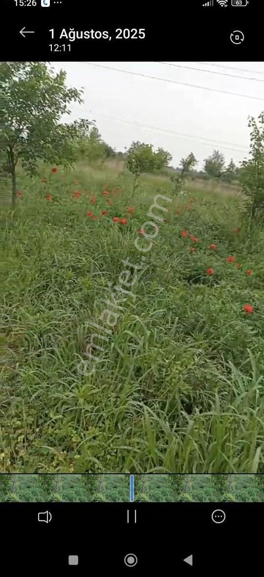 Alemdar Gayrimenkul Sakarya Erenler Kamışlı Mah.satlık Evli Arsa - Görsel 26