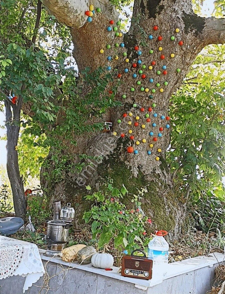Alemdar Gayrimenkul Sakarya Erenler Kamışlı Mah.satlık Evli Arsa - Görsel 23