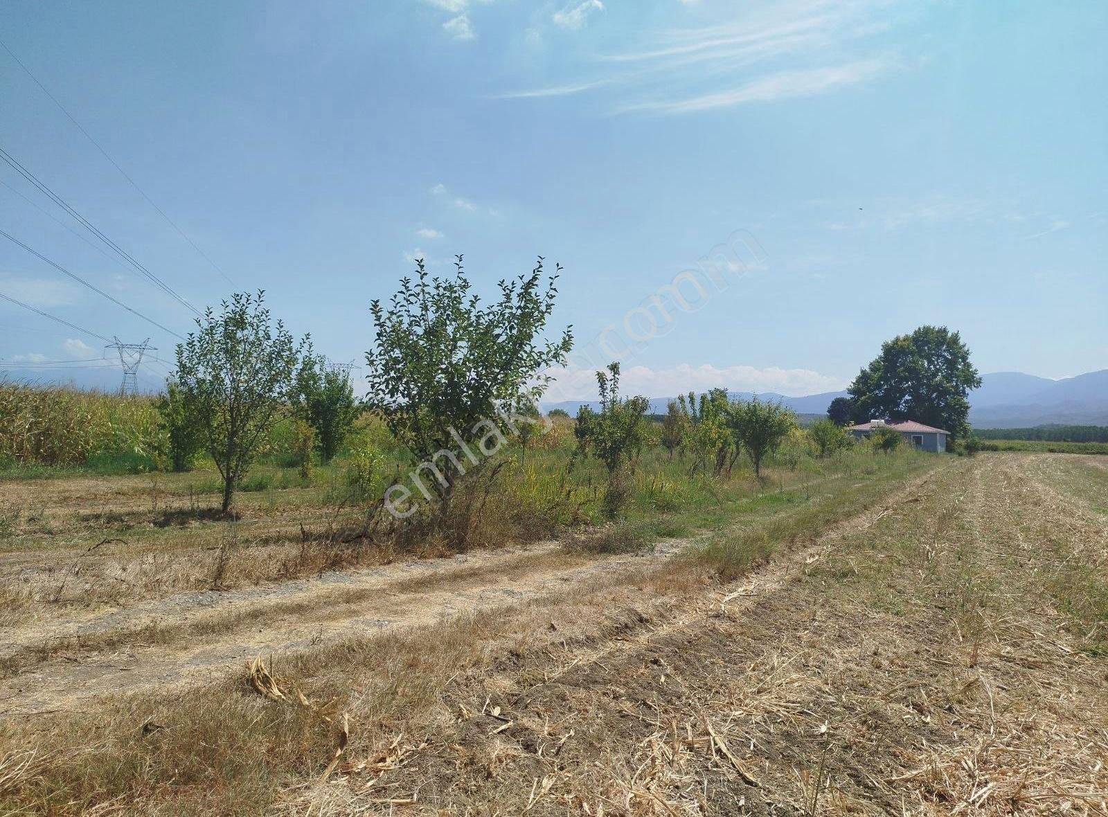 Alemdar Gayrimenkul Sakarya Erenler Kamışlı Mah.satlık Evli Arsa - Görsel 9