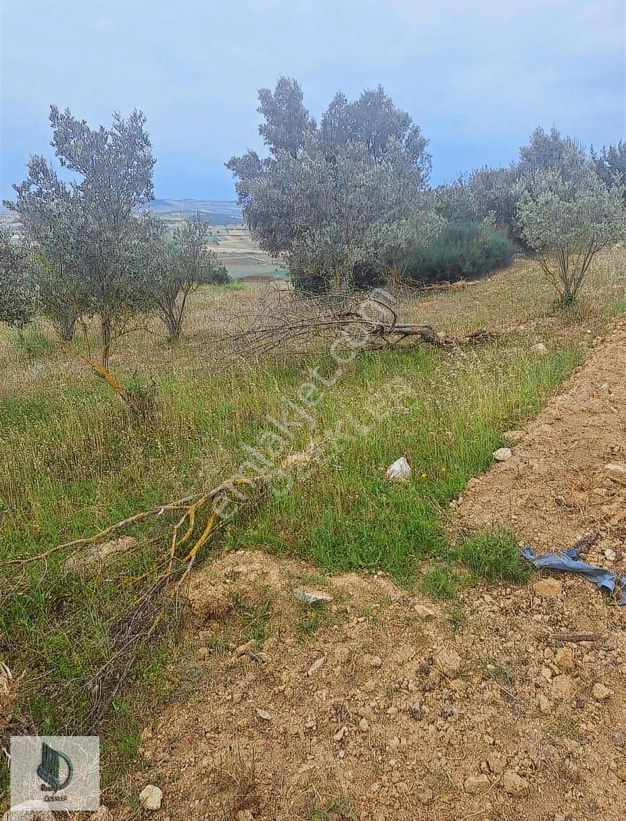 Bursa Yenişehir Hayriye Mh. Satılık Tarla! - Görsel 8