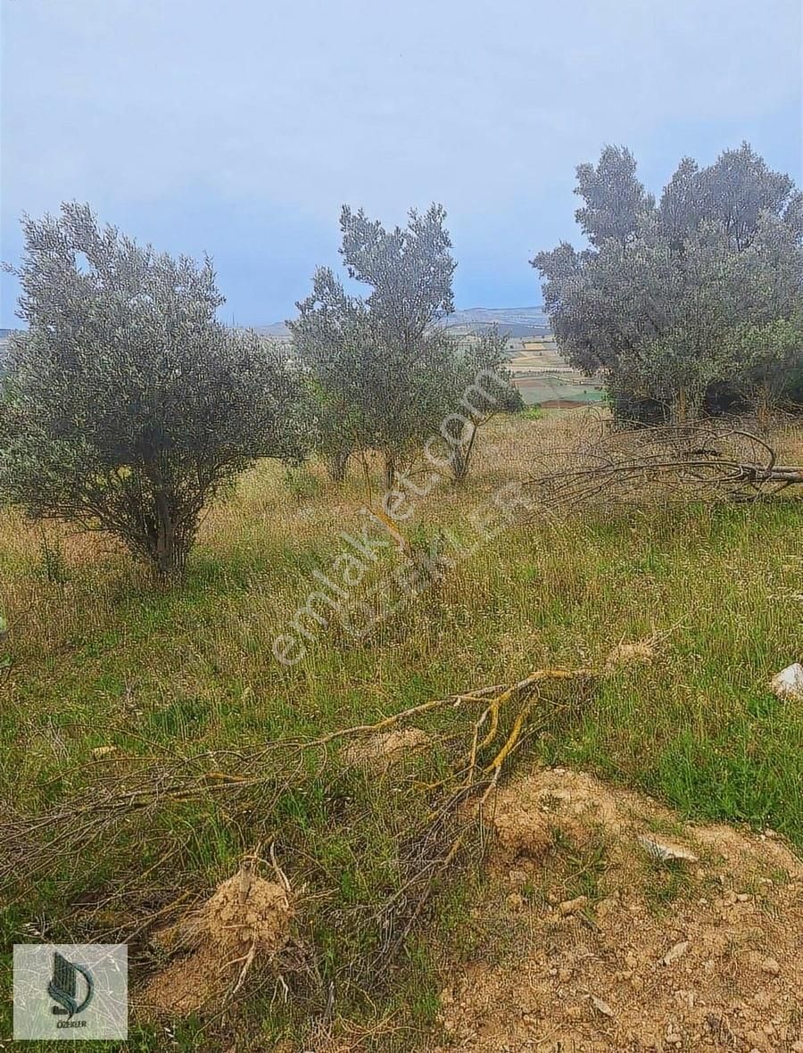 Bursa Yenişehir Hayriye Mh. Satılık Tarla! - Görsel 6