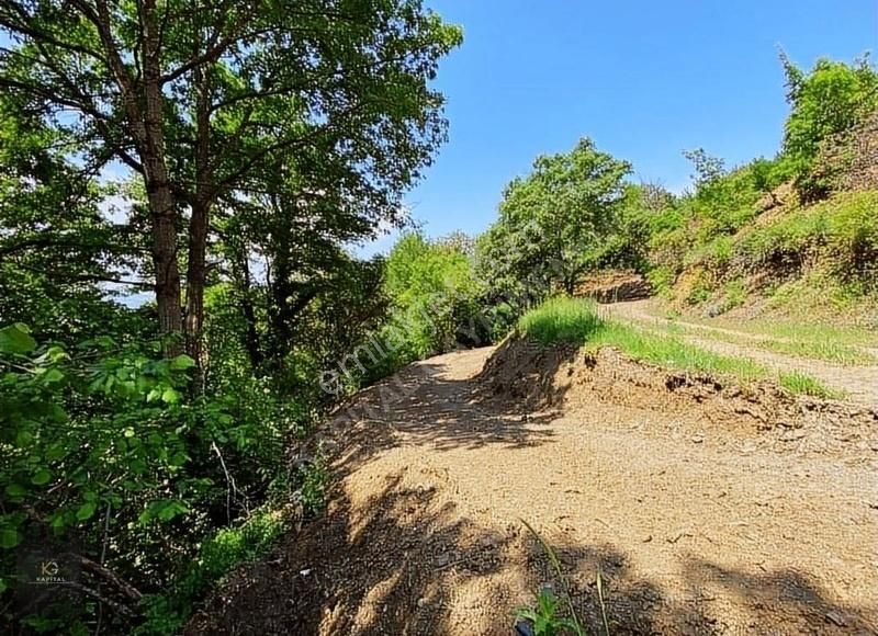 Uludağ Bağlı Köyü'de 268 M2 Bahçe