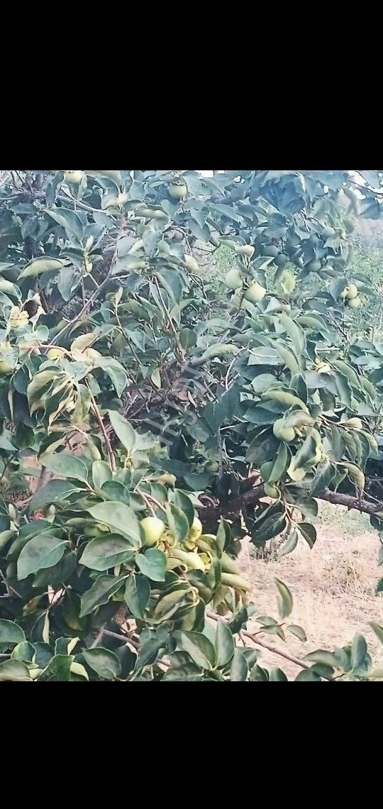 Şahinler Çevre Yoluna Sıfır Yatırımlık Arazi - Görsel 3