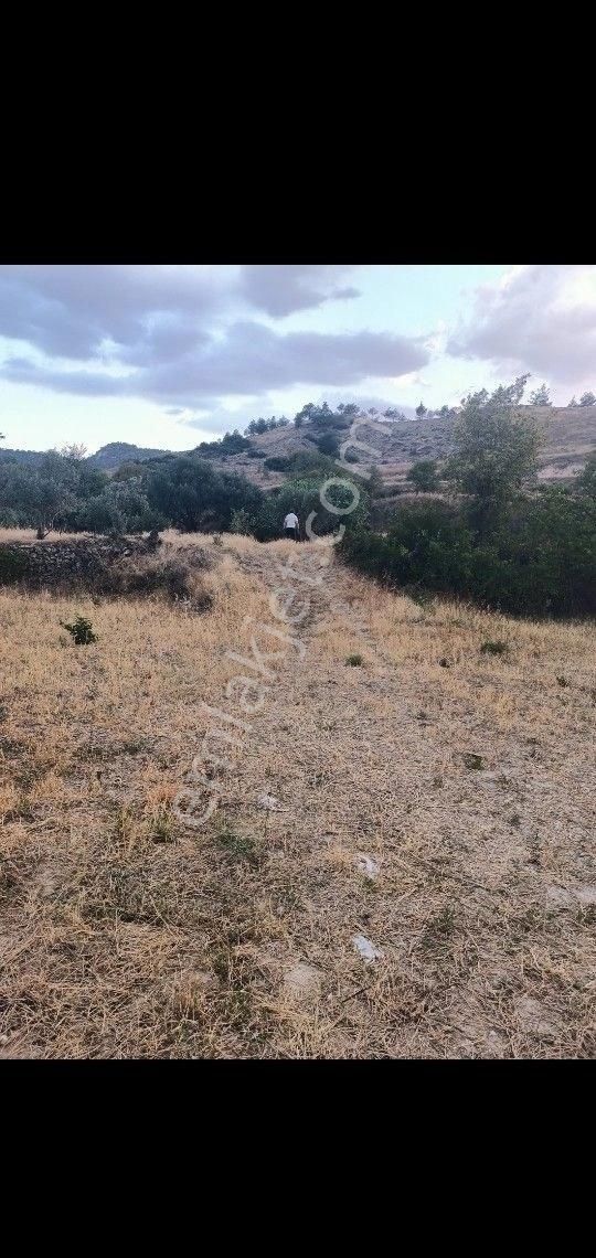 Şahinler Çevre Yoluna Sıfır Yatırımlık Arazi - Görsel 4