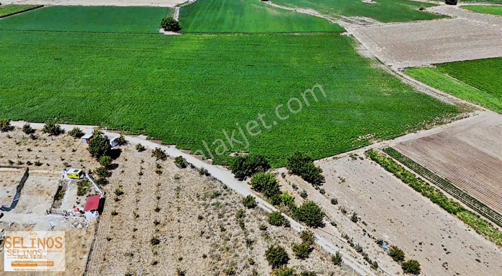 Dikili İsmetpaşa Mahallesinde 22.000 M2 Çiftlik Arazisi - Görsel 5