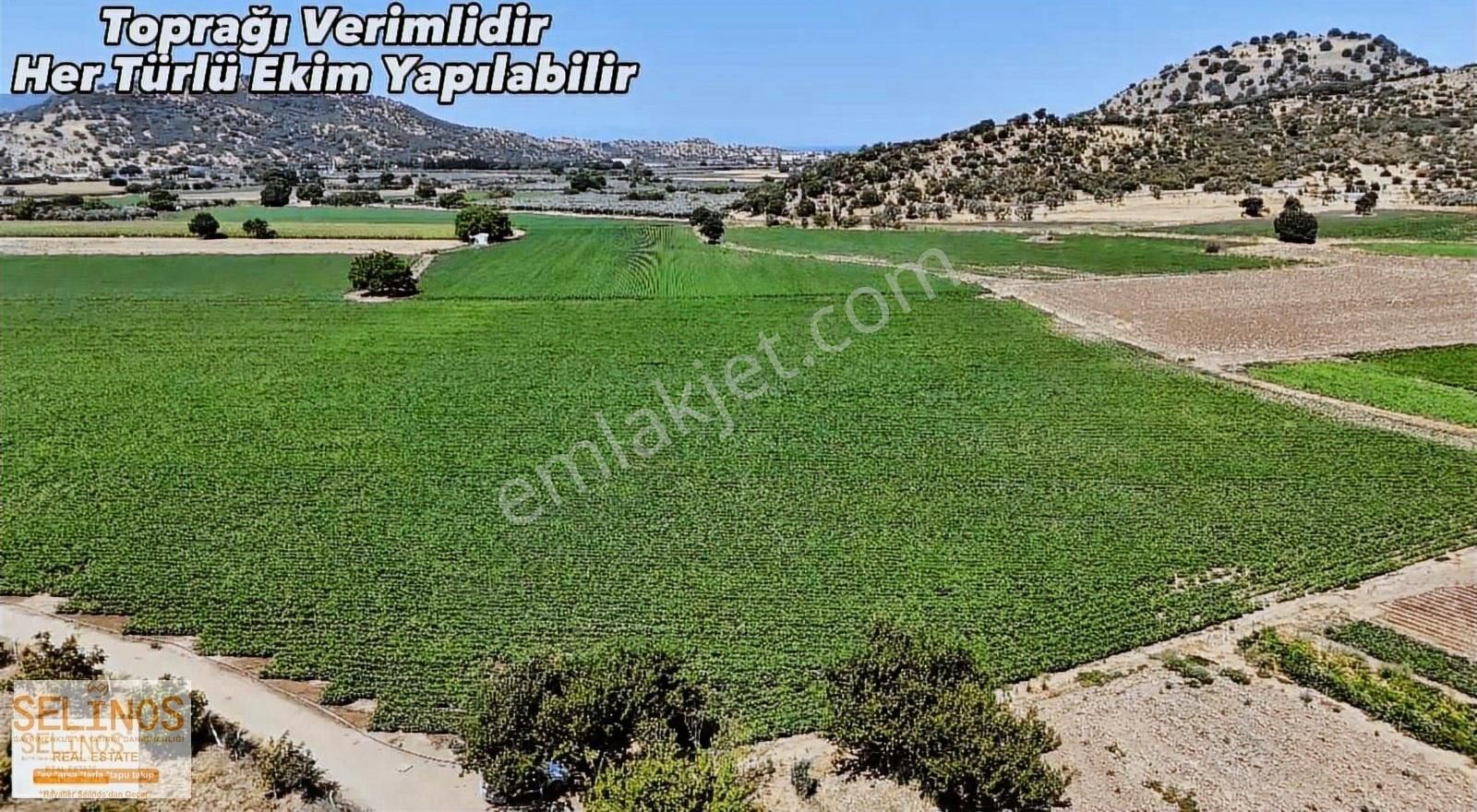 Dikili İsmetpaşa Mahallesinde 22.000 M2 Çiftlik Arazisi - Görsel 12