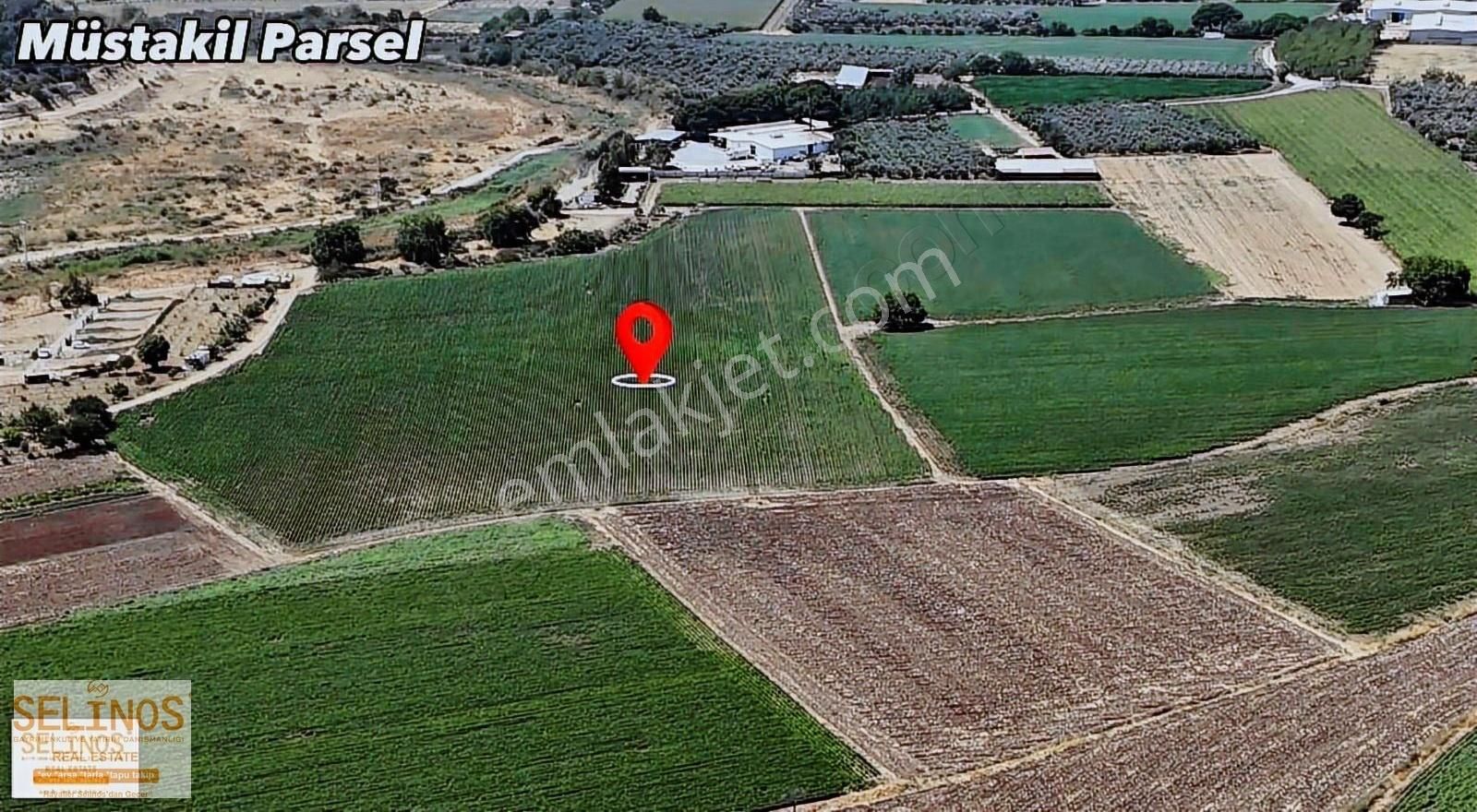 Dikili İsmetpaşa Mahallesinde 22.000 M2 Çiftlik Arazisi - Görsel 9