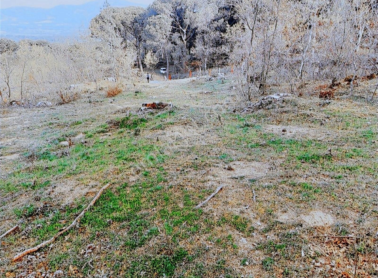 Yukarıbey Mahallesinde 4331 M2 Tarla - Görsel 10