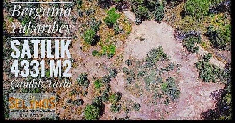 Yukarıbey Mahallesinde 4331 M2 Tarla - Görsel 5