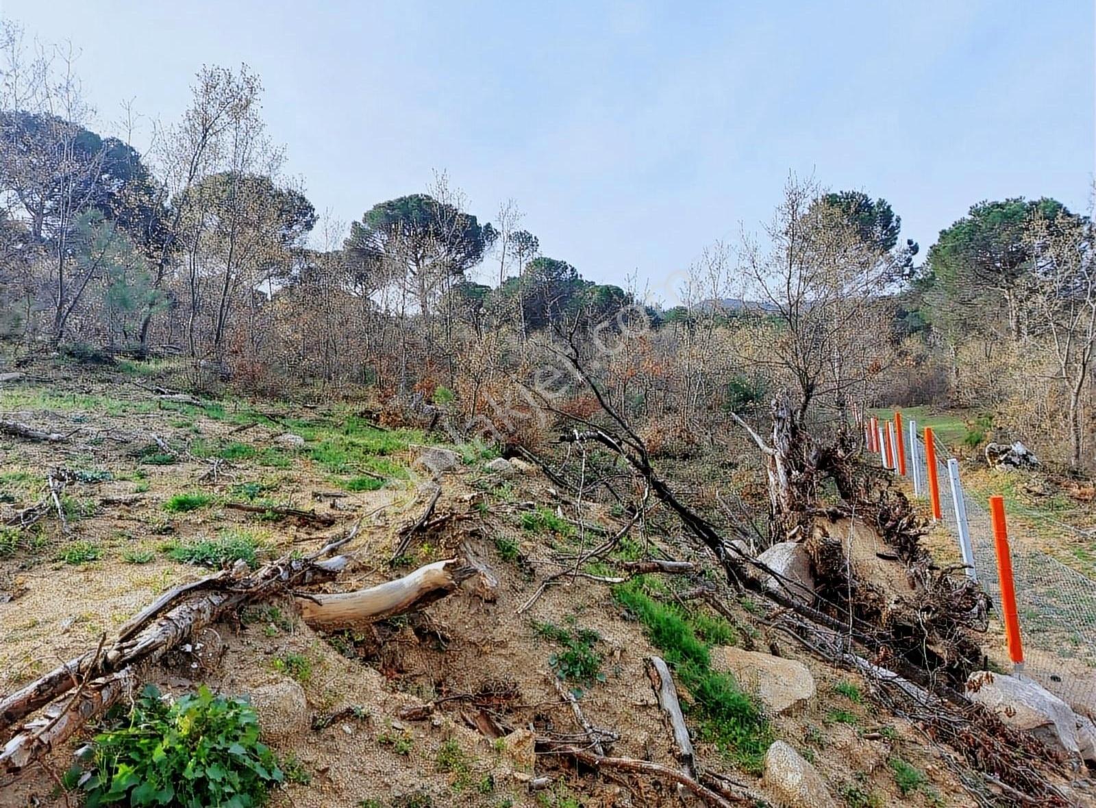 Yukarıbey Mahallesinde 4331 M2 Tarla - Görsel 2
