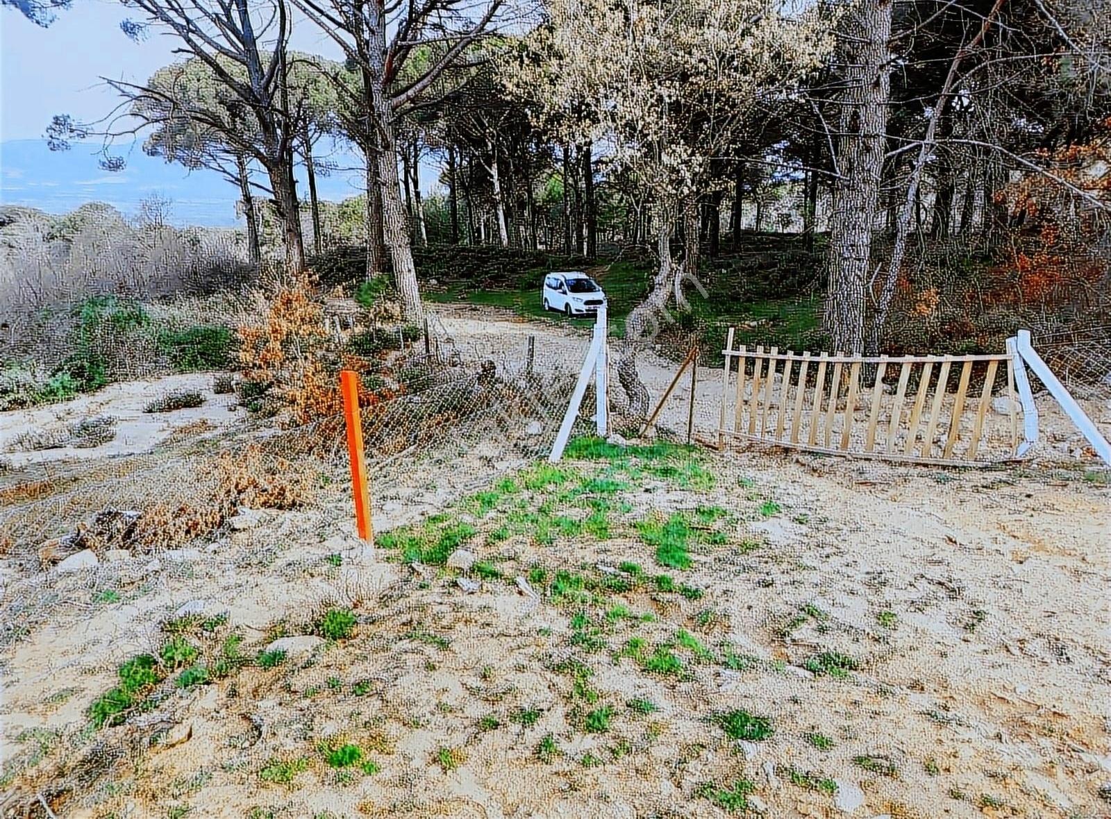 Yukarıbey Mahallesinde 4331 M2 Tarla - Görsel 3